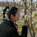 山东泰斗实木家居头像
