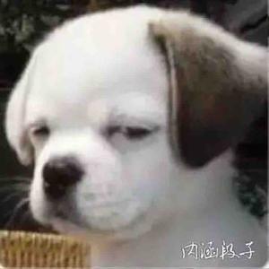 尼古拉斯狗头军头像