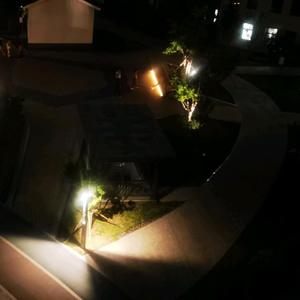 小牛读书001头像