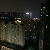 刘搭葛头像