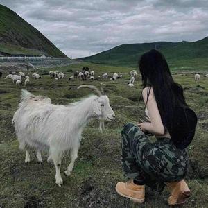 鹿鹿不吃香菜9n6N头像