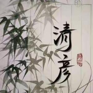 清竹头像