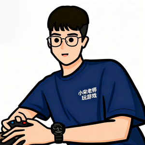 小宋老师玩游戏头像