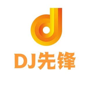 DJ先锋精品车载优盘头像