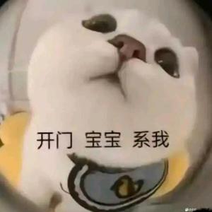 乐安南头像