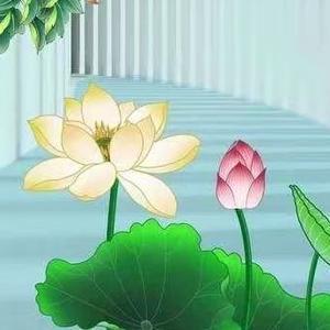 兰lan36头像