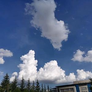 北绣暖稚头像