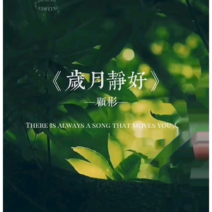 东子头像