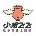 小猪飞飞嗨头像