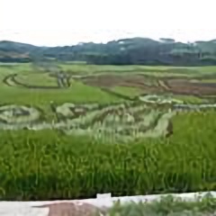 顺其自然修心养性头像