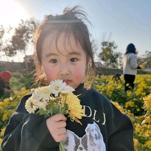 旅行家埃迪8j0头像