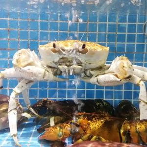 益鑫泰祖头像
