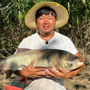 彭哥钓鱼探长头像