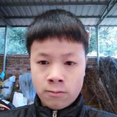 极客香蕉2A头像