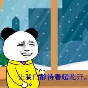 小枫来了动画头像