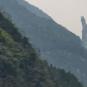 永远高飞的雄鹰头像