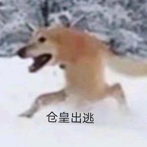 勇敢菌菌头像