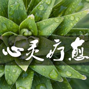 音乐合集分享头像