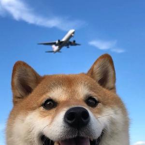 臧金铭头像