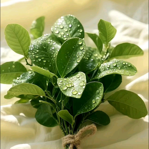 简单小鱼JN头像