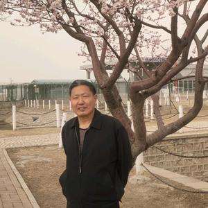 北京老张头6Z9J头像
