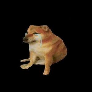 是熊不是雄头像
