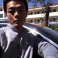 蜂行传播头像