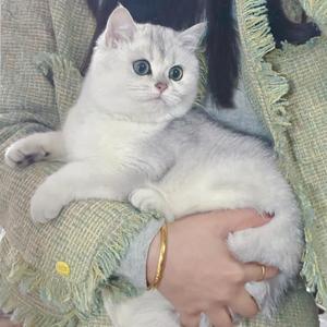 爱吃喵唯怡头像