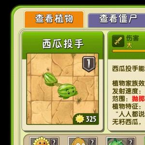 小毅的瓜头像