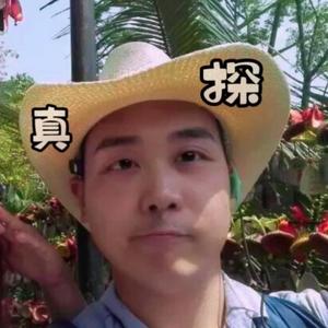石家庄真探头像