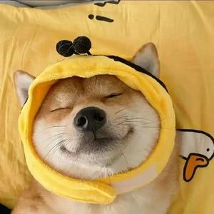 不二小丁头像