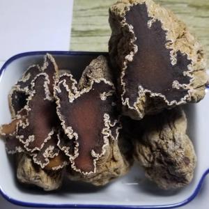 营在草原咸菜疙瘩荞面血肠头像