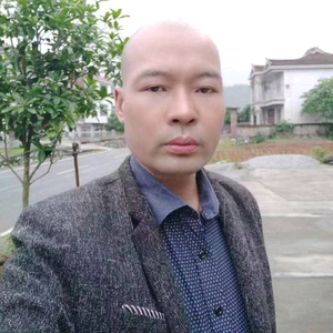 鸻柳头像