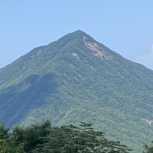 澎悦乐育头像