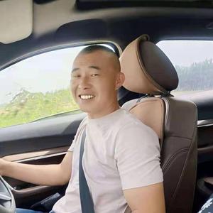 山东小石优选花木头像