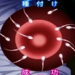 升命的种子头像