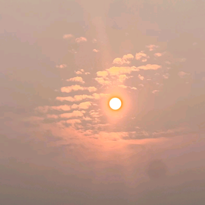 道朴子说书头像