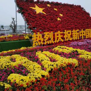 拉丁舞梓萱头像