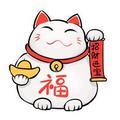经典信息头像