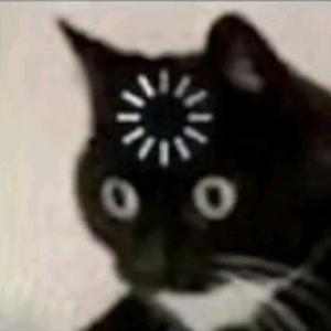 ptley头像