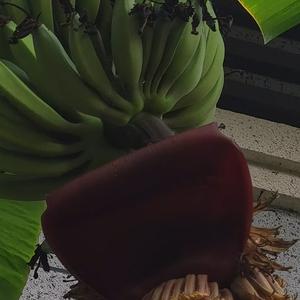 远望七二一头像