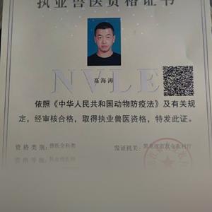 真大美伊春头像
