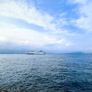 流浪的喵头像
