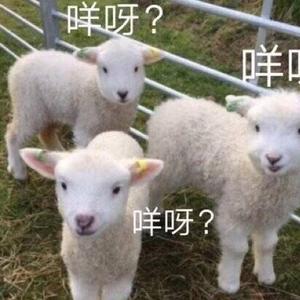 什么登西头像