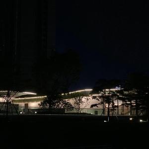 小雅同学WO头像