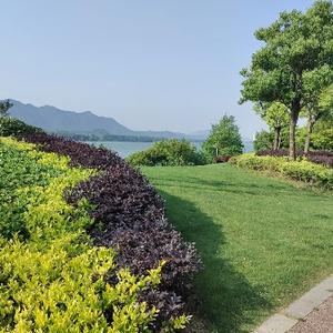 小帅分享头像