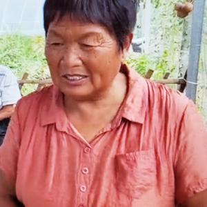 大脸仙女头像
