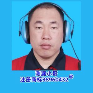 测漏小哥头像