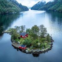 芳文92066631头像