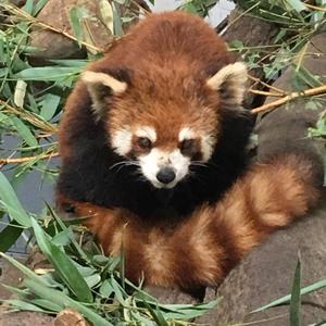 隔壁老钱头像